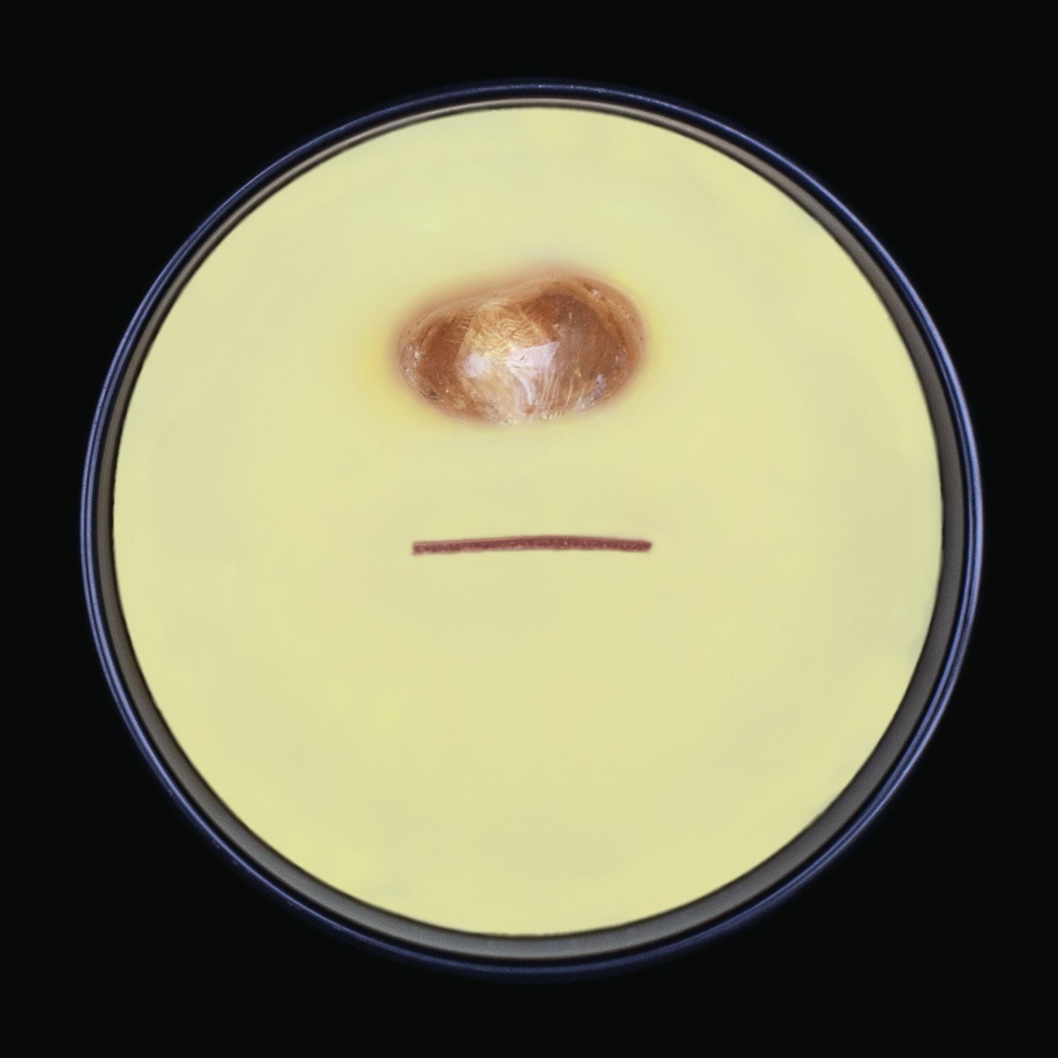 Naturally Wicked Spellbinding Happiness Crystal Candle View From Above Shows Yellow Smooth Plant-based Wax, Featuring A Wooden Wick And A Citrine Spell Crystal. All Situated Within A Black Gloss Glass Container. The Perfect Spell Candle Gift